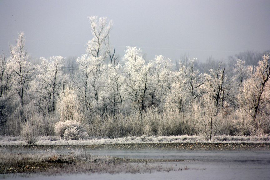 il fiume , la nebbia, l''inverno....